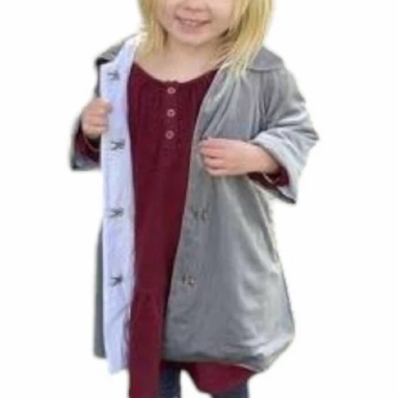 NEW Vignette Jane Girls Silver Gray Velvet Coat with Peter Pan Collar - Picture 4 of 11